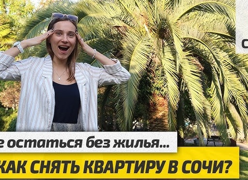Снять квартиру посуточно в Сочи без посредников: ТОП лучших сайтов аренды жилья на сутки